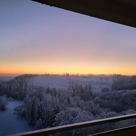 Appartement Zur Bergoase Mi Schwimmbad Hohegeiss Exterior foto