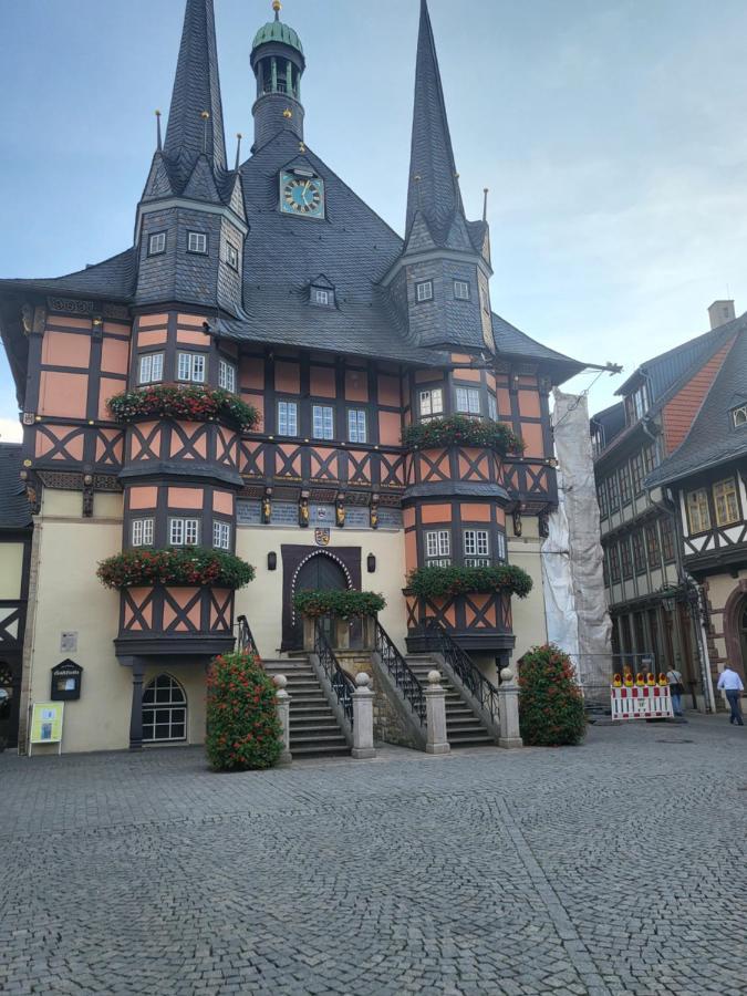 Appartement Zur Bergoase Mi Schwimmbad Hohegeiss Exterior foto