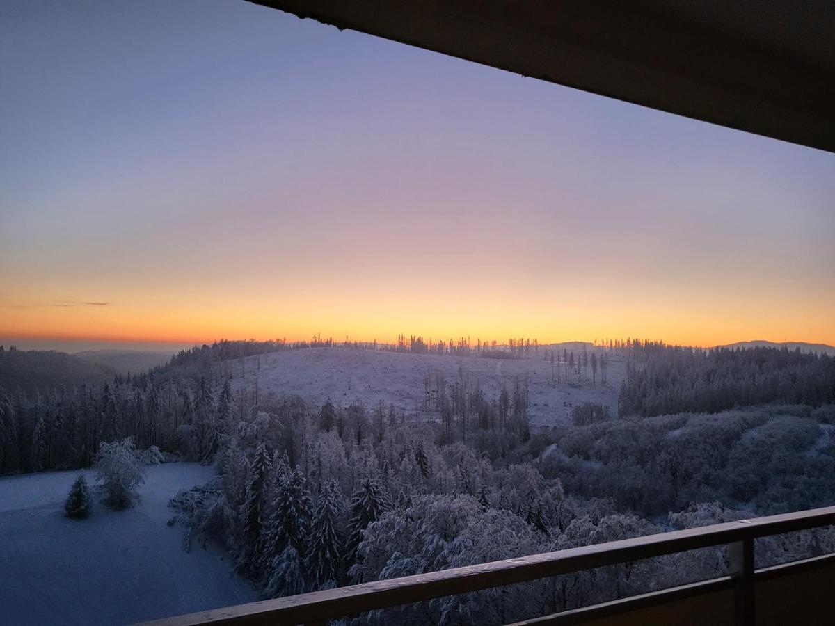 Appartement Zur Bergoase Mi Schwimmbad Hohegeiss Exterior foto